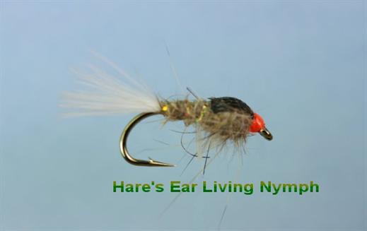 Hare's Ear Living